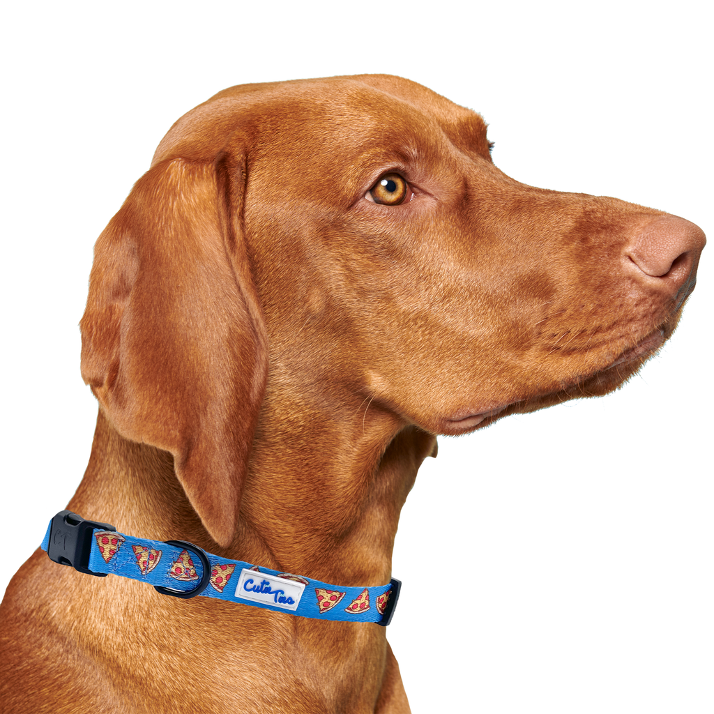 I Usually Only Get The Crust Pizza Dog Collar