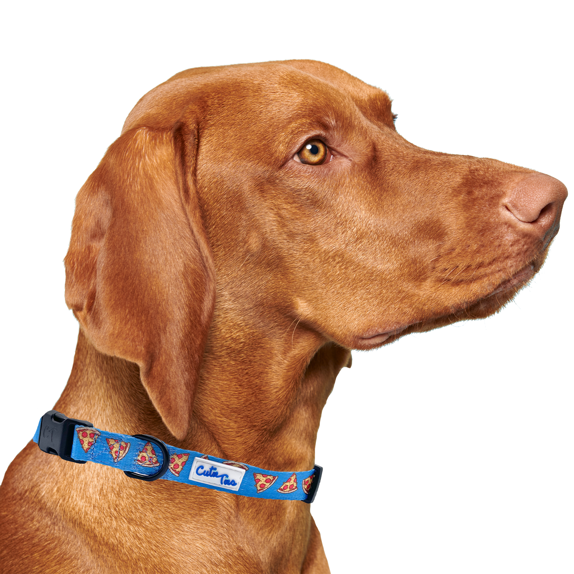 I Usually Only Get The Crust Pizza Dog Collar