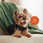BetterBone Mini Chew Toy