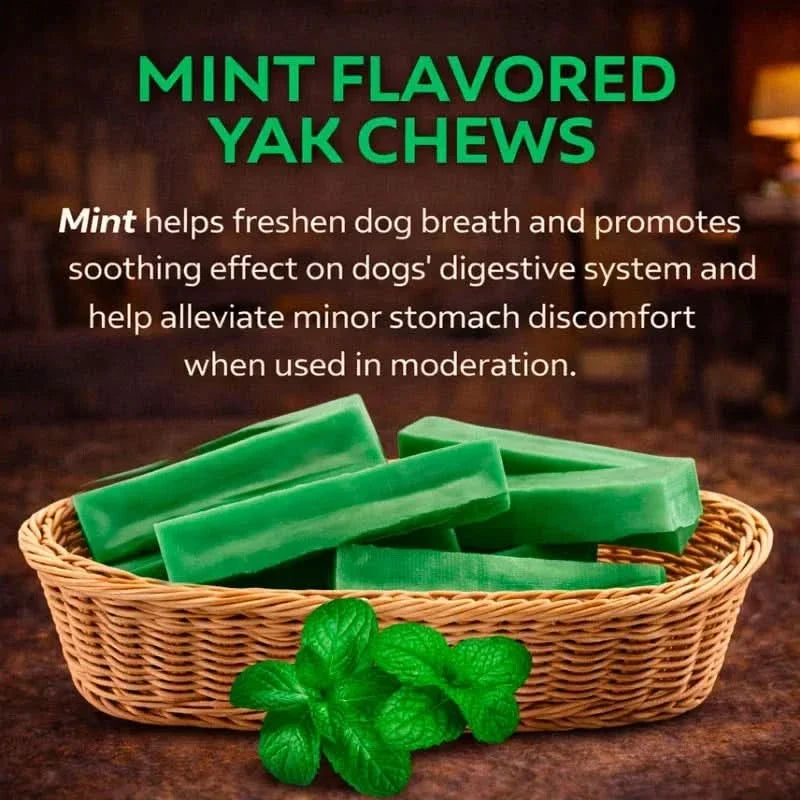 Mint Yak Chew — Freshens Breath & Keeps Dogs Busy for Days (CA)