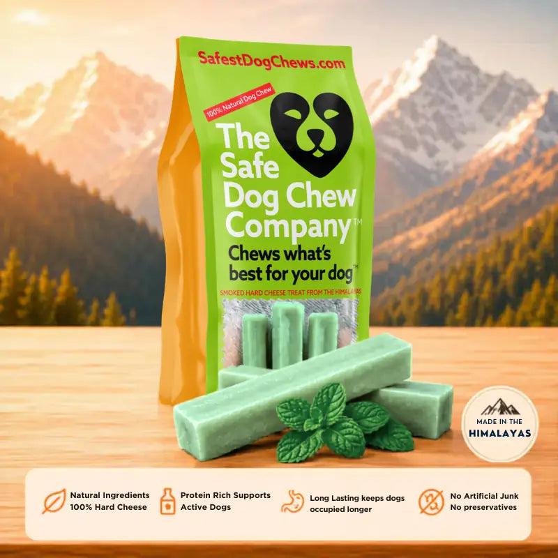 Mint Yak Chew — Freshens Breath & Keeps Dogs Busy for Days (CA)