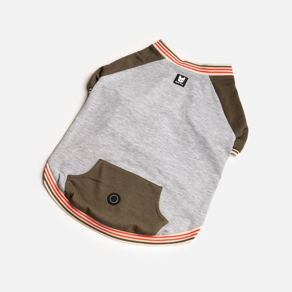 Chase Lightweight Dog Sweatshirt  Green French Terry Pullover with