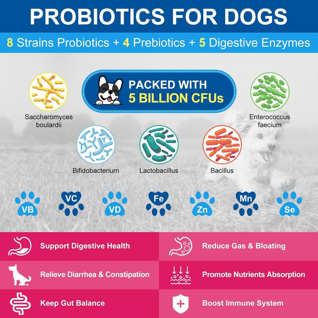 10-in-1 Multivitamin for Dogs & Cats, Glucosamine + Probiotics 5B CFUs + Omega-3, Chicken Flavor, 90 Servings