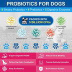 10-in-1 Multivitamin for Dogs & Cats, Glucosamine + Probiotics 5B CFUs + Omega-3, Chicken Flavor, 90 Servings