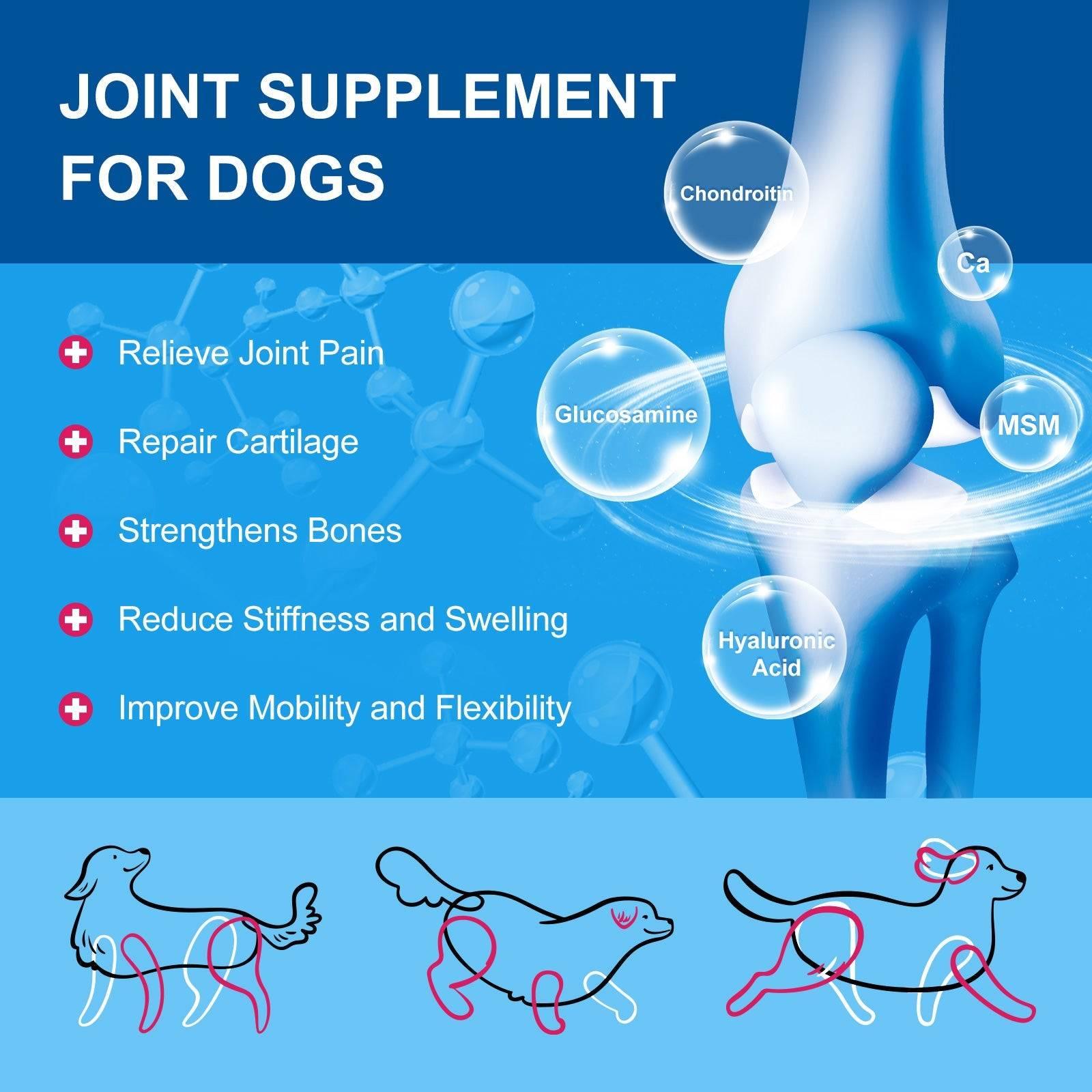 10-in-1 Multivitamin for Dogs & Cats, Glucosamine + Probiotics 5B CFUs + Omega-3, Chicken Flavor, 90 Servings