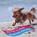 10-in-1 Multivitamin for Dogs & Cats, Glucosamine + Probiotics 5B CFUs + Omega-3, Chicken Flavor, 90 Servings