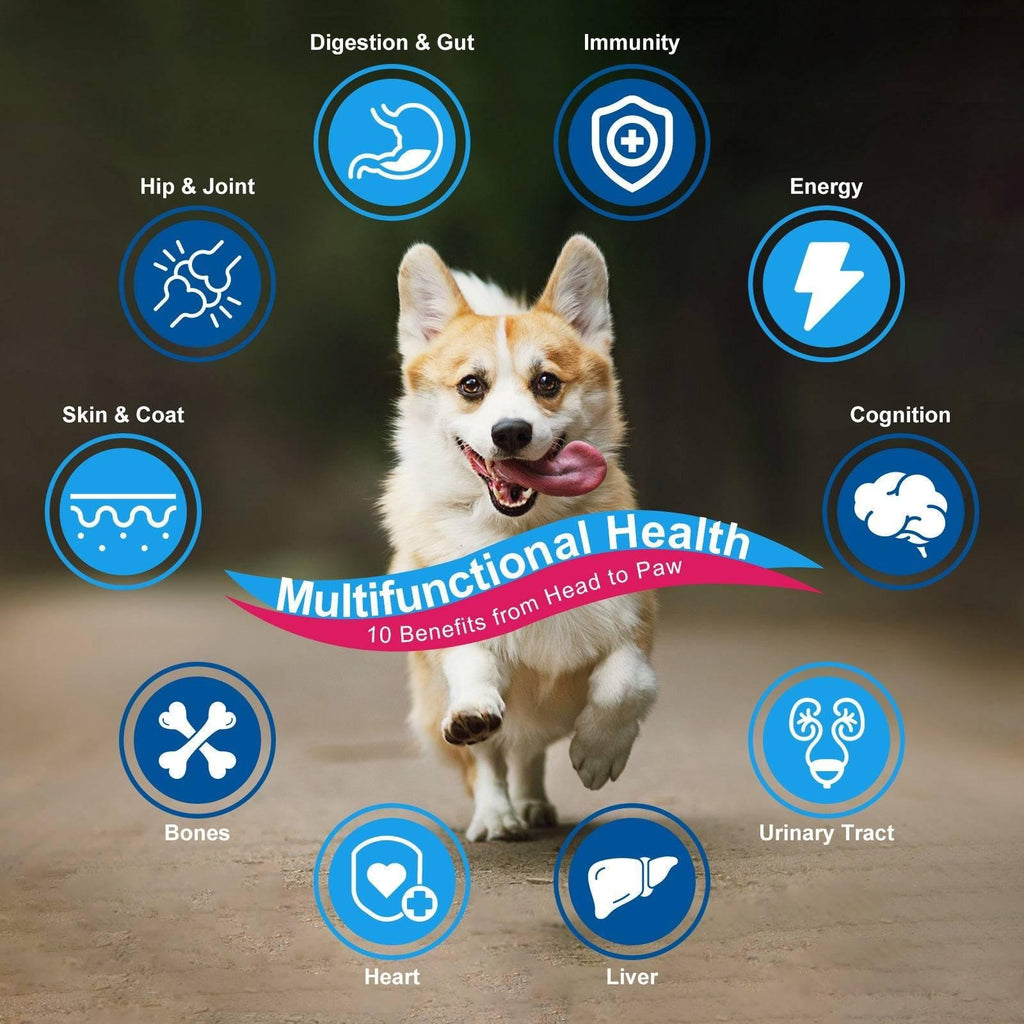 10-in-1 Multivitamin for Dogs & Cats, Glucosamine + Probiotics 5B CFUs + Omega-3, Chicken Flavor, 90 Servings