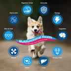 10-in-1 Multivitamin for Dogs & Cats, Glucosamine + Probiotics 5B CFUs + Omega-3, Chicken Flavor, 90 Servings
