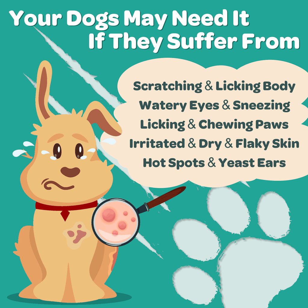 Dog & Cat Allergy & Itch Relief Chews, Colostrum + Probiotics 3B CFUs + Quercetin + Omega-3 + Turmeric + Apple Cider Vinegar, Chicken Flavor, 120 Chews