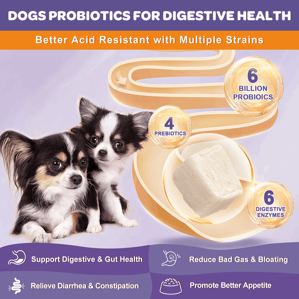 Probiotics 6B CFUs + Omega-3 for Dogs & Cats, Chicken Flavor, 120 Chews