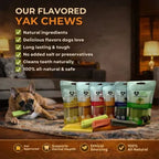 Mint Yak Chew — Freshens Breath & Keeps Dogs Busy for Days (CA)