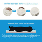 Pet Support Systems Orthopedic Memory Foam Dog Bed