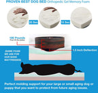 Pet Support Systems Lucky Dog Orthopedic 7" Memory Foam  Dog Bed