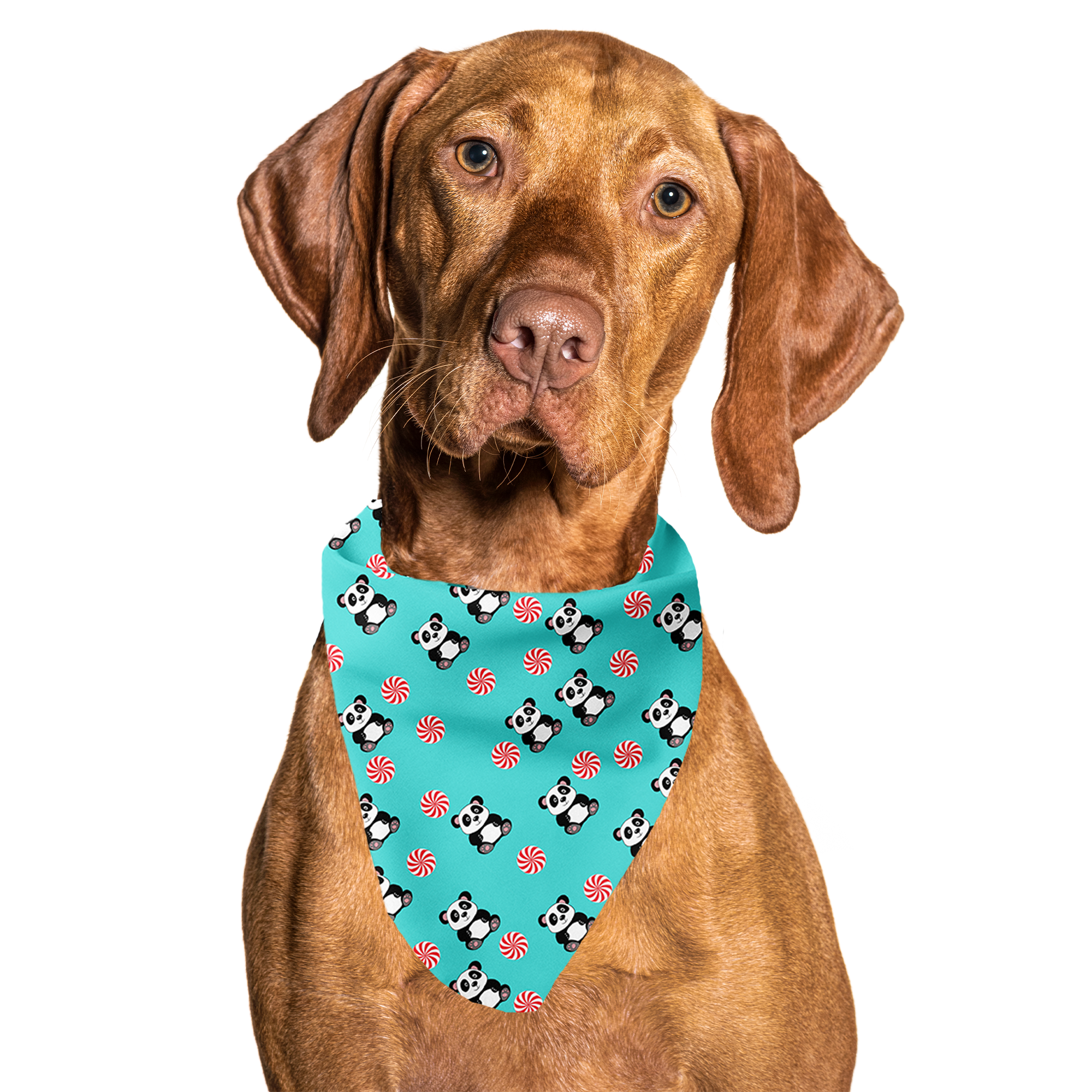 Peppermint Panda Blue Tie On Dog Bandana