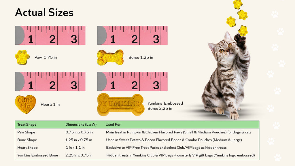 Yumkins™: 3 x (3.6oz) Sweet Potato & Bacon Flavored Bones - Bundle