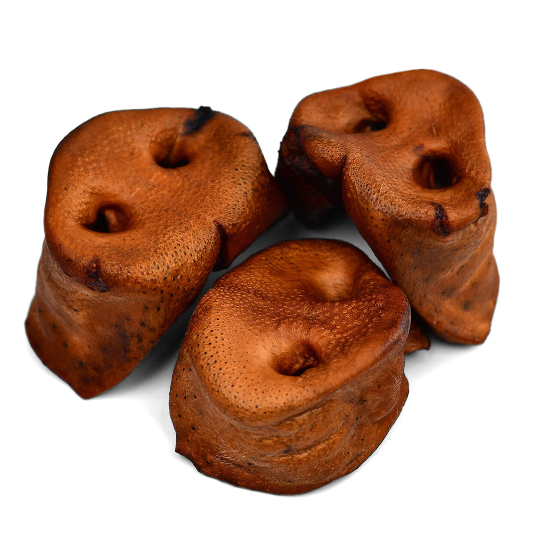 Pork Snouts for Dogs