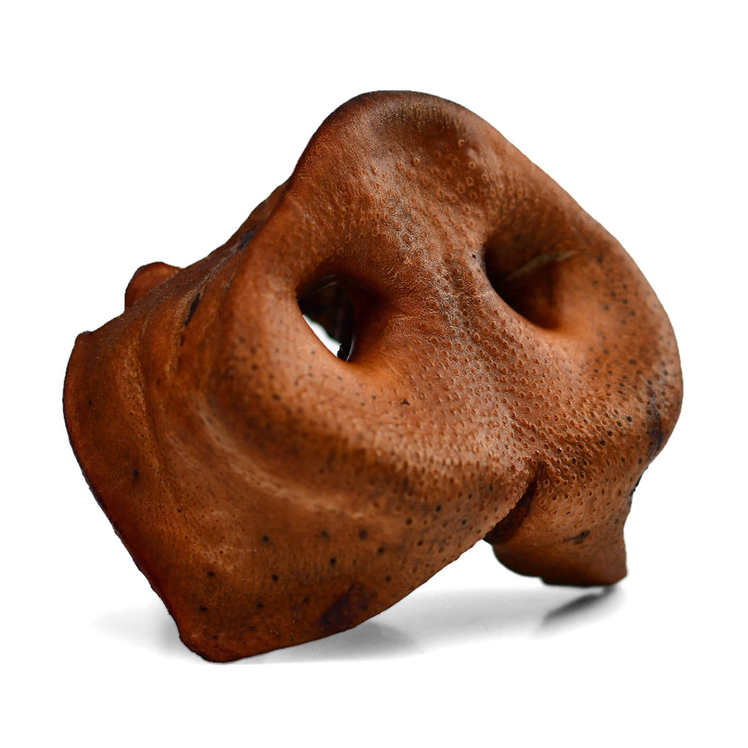 Pork Snouts for Dogs