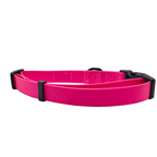 Pink Dog Collar