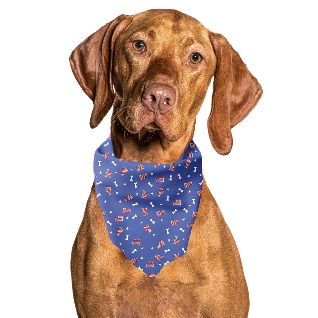 Red, White and Bones American Flag USA Tie On Dog Bandana