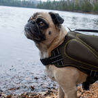 Khaki Neoprene Dog Life Jacket  Safe & Stylish Buoyancy Vest