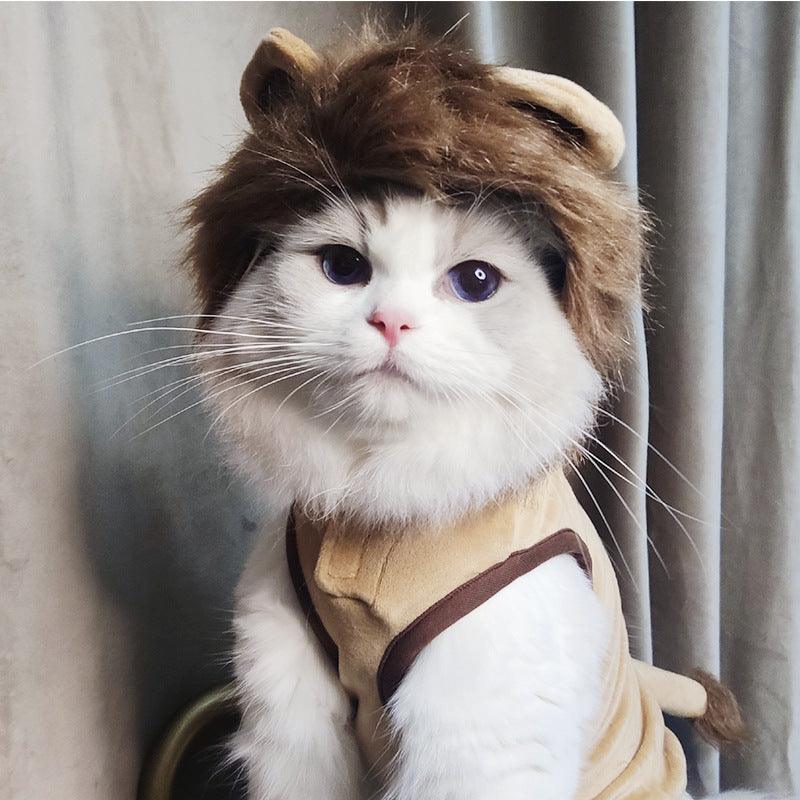 Pet Costume: Lion King Transformation Outfit For Dogs And Cats