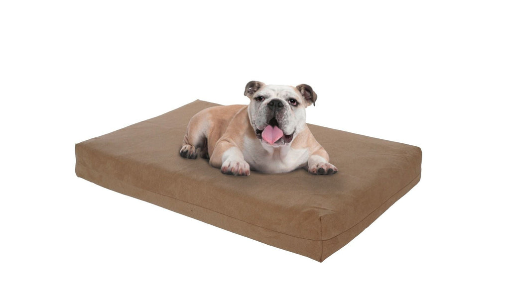 Pet Support Systems Lucky Dog Orthopedic 7" Memory Foam Dog Bed with Bolster - REFURBISHED