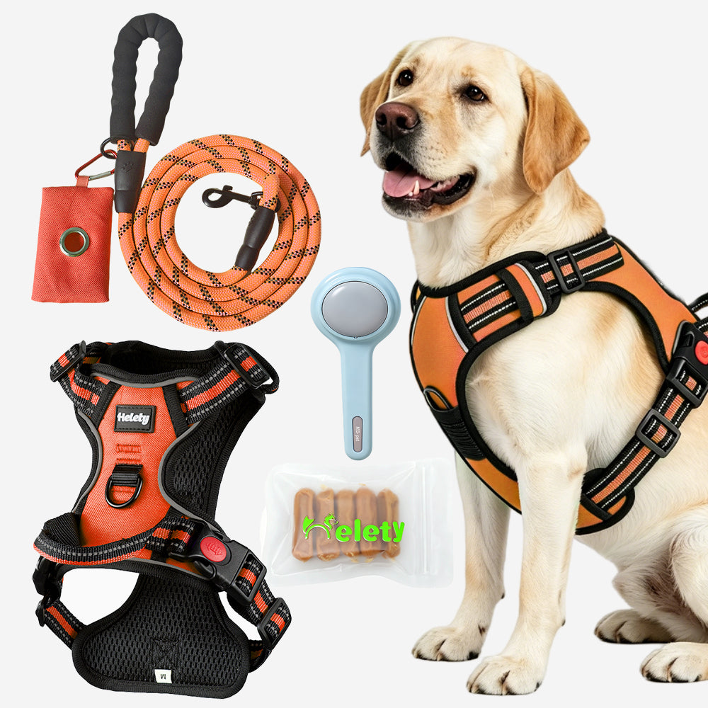 HELETY Dog Walking Gift Set – No Pull Harness + Leash + Grooming Brush + Dog Treats