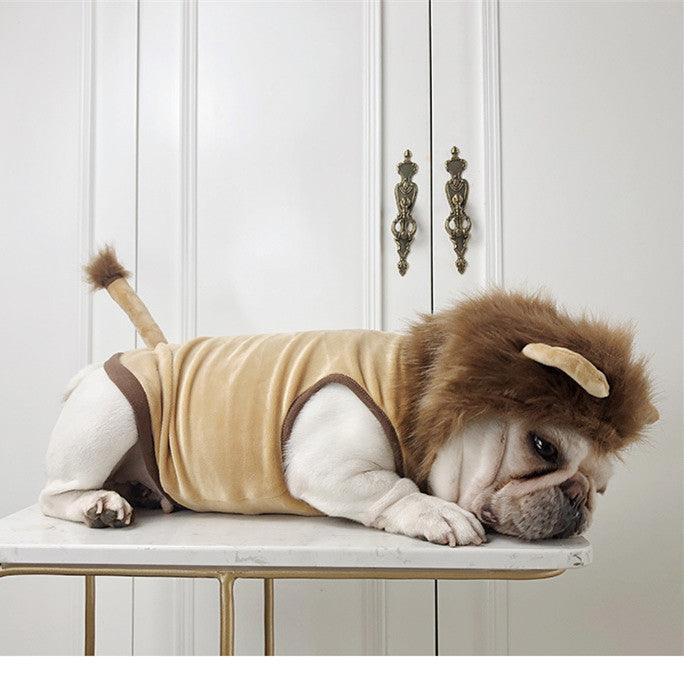 Pet Costume: Lion King Transformation Outfit For Dogs And Cats