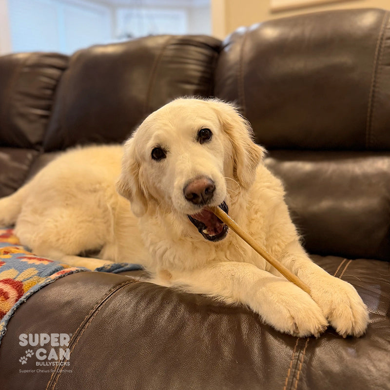 6" Collagen Sticks for Dogs
