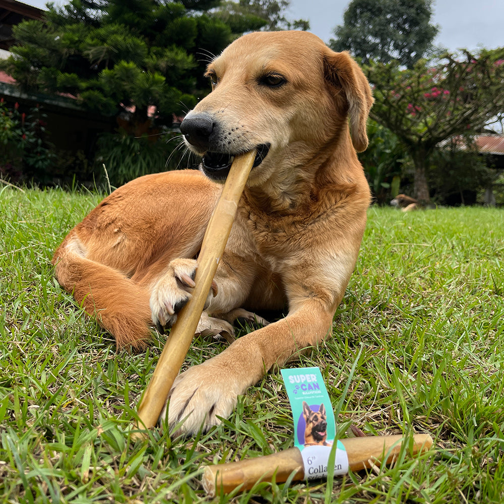 12" Collagen Sticks for Dogs