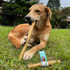 12" Collagen Sticks for Dogs