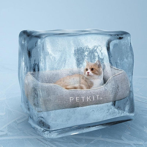 Cool Paws Comfort Zone: Removable Cooling Pet Mattress For Cats And