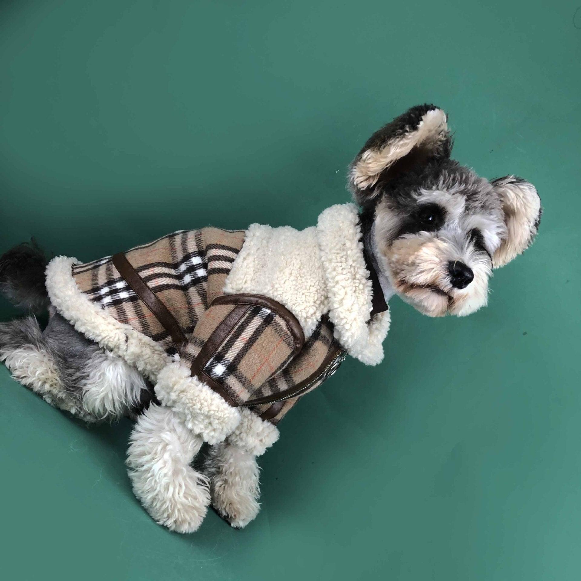 Cozycanine Winterwear: Luxuriously Thickened Dog Clothing For Extra