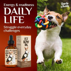 Charlie & Buddy Pain Relief Hemp Oil for Dogs and Cats