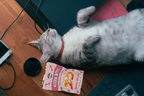 Single Ingredient, High Value Freeze-Dried Training Treats for Dogs & Cats - Shrimp