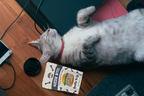 Single Ingredient, High Value Freeze-Dried Training Treats for Dogs & Cats - Beef Liver