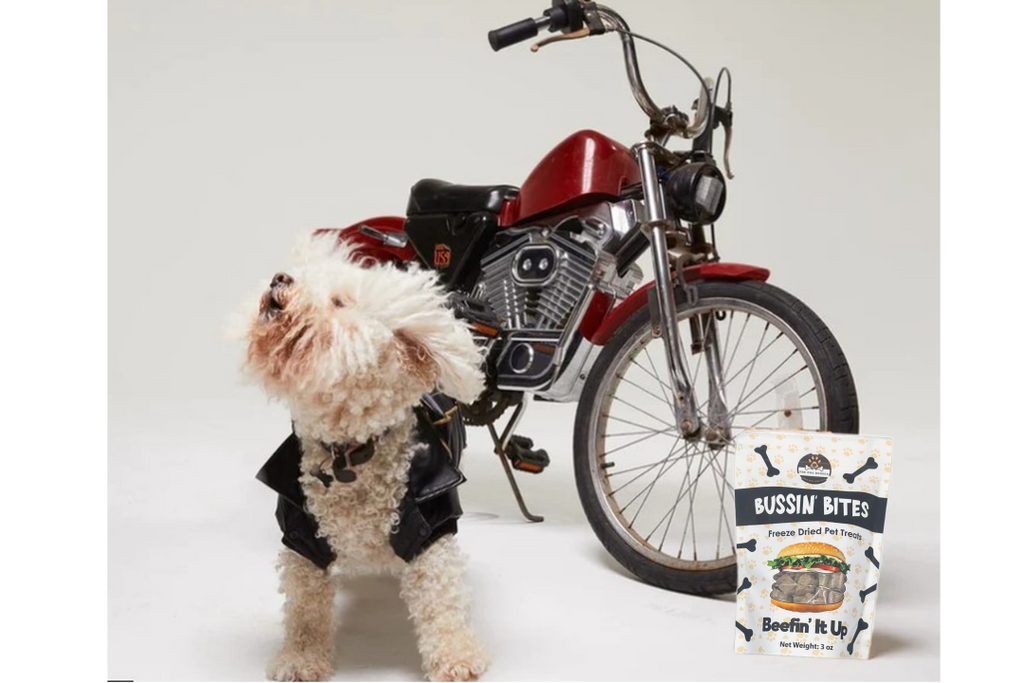 Single Ingredient, High Value Freeze-Dried Training Treats for Dogs & Cats - Beef Liver