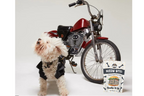 Single Ingredient, High Value Freeze-Dried Training Treats for Dogs & Cats - Beef Liver