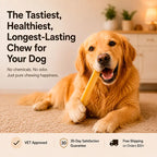 Mint Yak Chew — Freshens Breath & Keeps Dogs Busy for Days (CA)