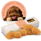 Dog Macarons (Box of 6) - bundle of 2 Auto renew