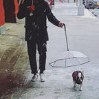 Dog Umbrella