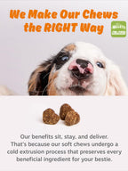 Helety Dog Vitamin Hip & Joint Glucosamine