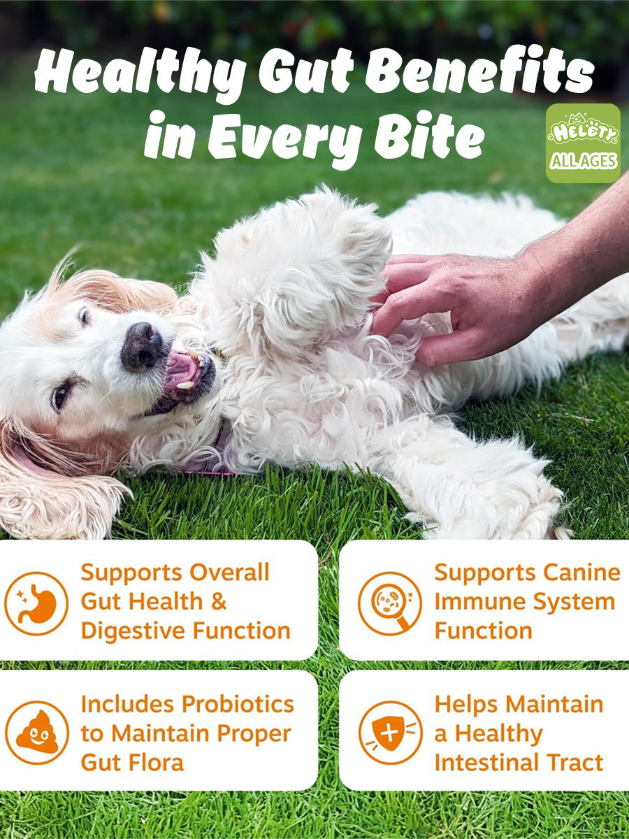 Helety Dog Vitamin Hip & Joint Glucosamine
