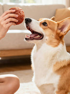 Helety Dog Treats with Egg Yolk, Chicken Duck Flavored Meat Balls, High Protein Dog Snacks, All Life Stages Dog Treats