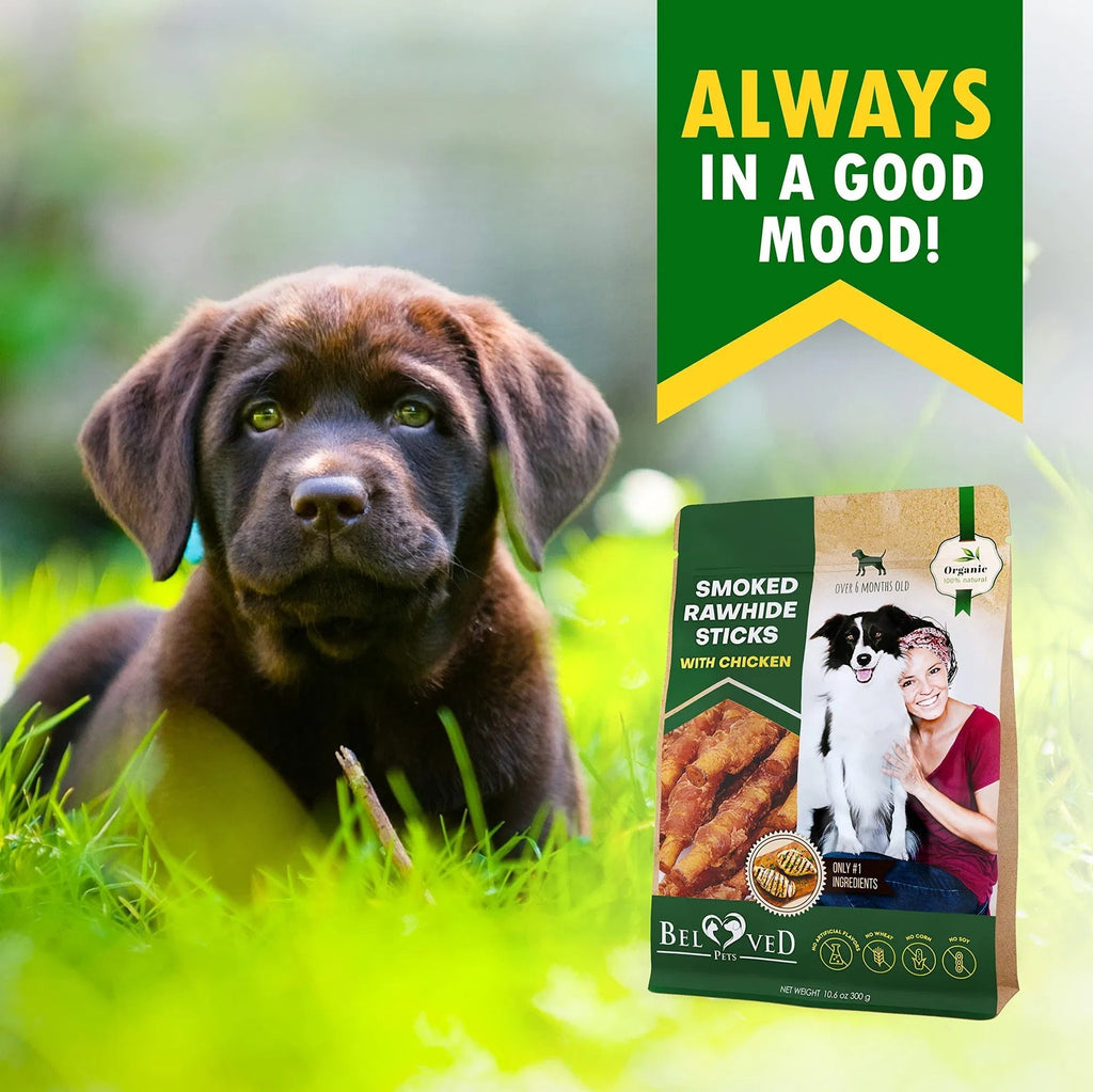 Dog Smoked Rawhide Sticks Wrapped Chicken Pet Natural Chew Treats