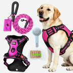 HELETY Dog Walking Gift Set – No Pull Harness + Leash + Grooming Brush + Dog Treats