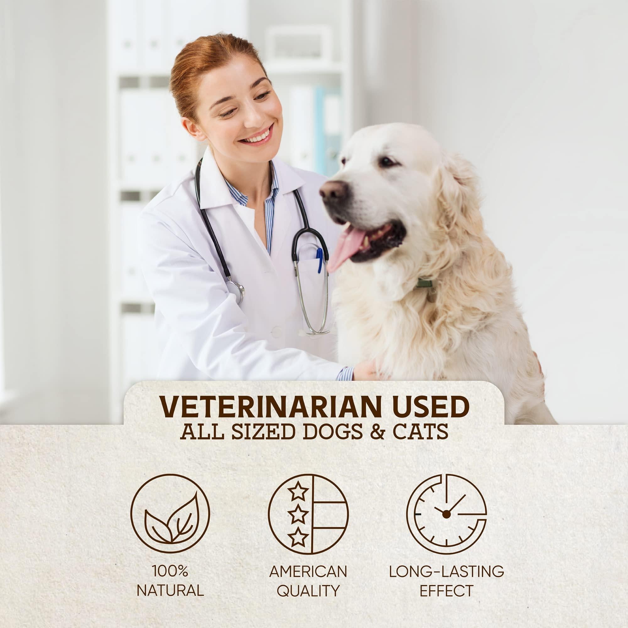 Calming Hemp Oil for Dogs and Cats