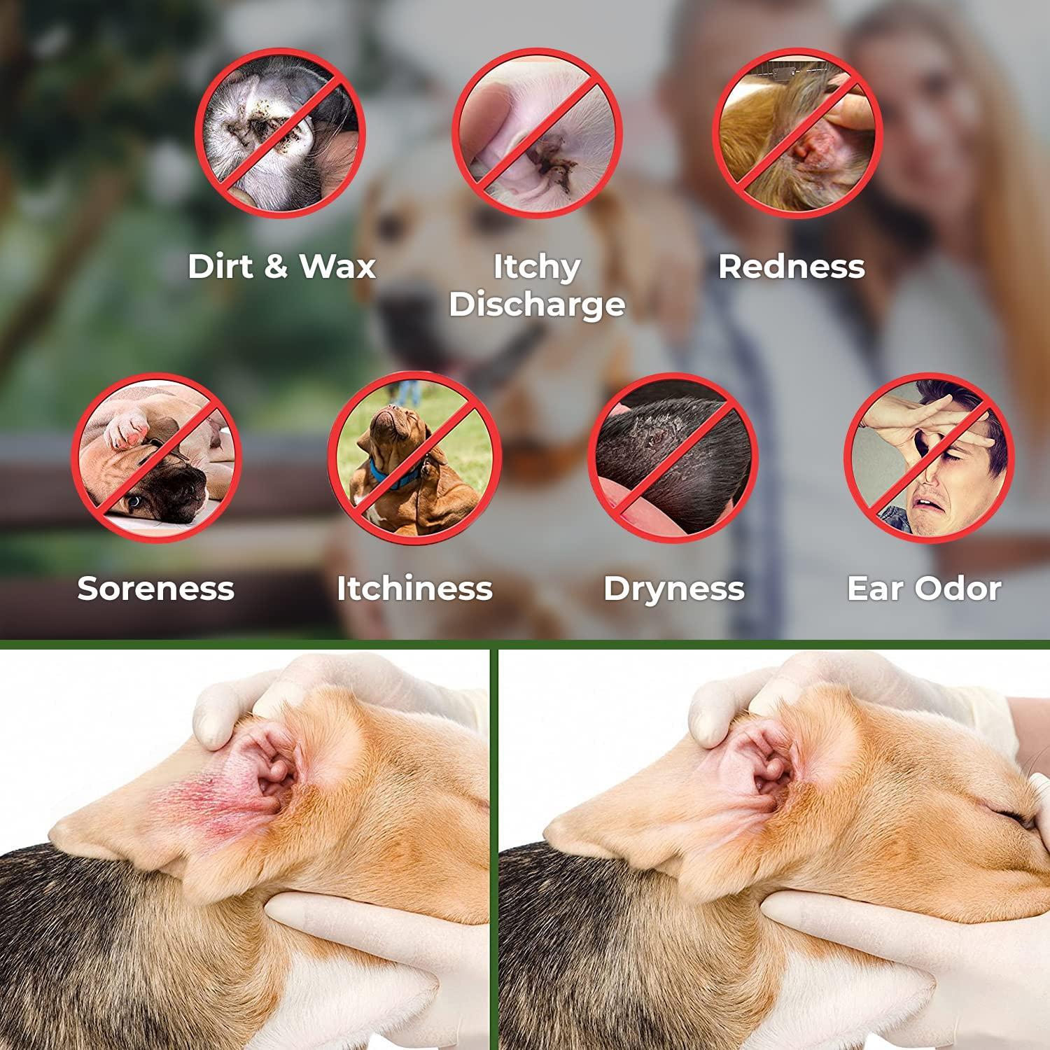 Ear Cleaner Wipes for Dogs, Cats, Puppies & Kittens by Arava