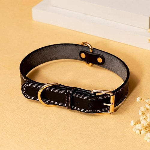 Rugged Leather Dog Collar