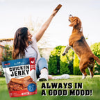 Chicken Jerky Dog Treats 1.5 Lb Human Grade Pet Snacks Grain Free